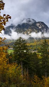 Preview wallpaper mountains, fog, clouds, trees, nature