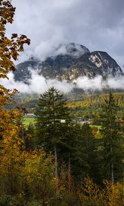 Preview wallpaper mountains, fog, clouds, trees, nature