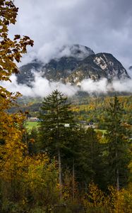 Preview wallpaper mountains, fog, clouds, trees, nature