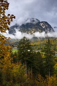 Preview wallpaper mountains, fog, clouds, trees, nature