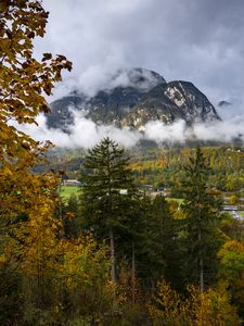 Preview wallpaper mountains, fog, clouds, trees, nature