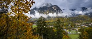 Preview wallpaper mountains, fog, clouds, trees, nature