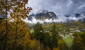 Preview wallpaper mountains, fog, clouds, trees, nature