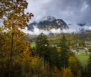 Preview wallpaper mountains, fog, clouds, trees, nature