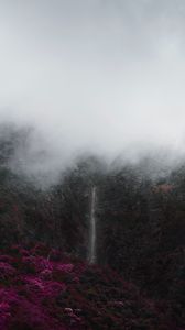 Preview wallpaper mountains, fog, clouds, trees, vegetation, landscape