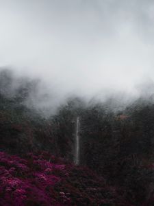 Preview wallpaper mountains, fog, clouds, trees, vegetation, landscape