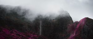 Preview wallpaper mountains, fog, clouds, trees, vegetation, landscape