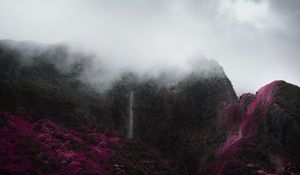 Preview wallpaper mountains, fog, clouds, trees, vegetation, landscape