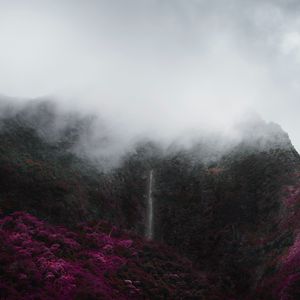 Preview wallpaper mountains, fog, clouds, trees, vegetation, landscape