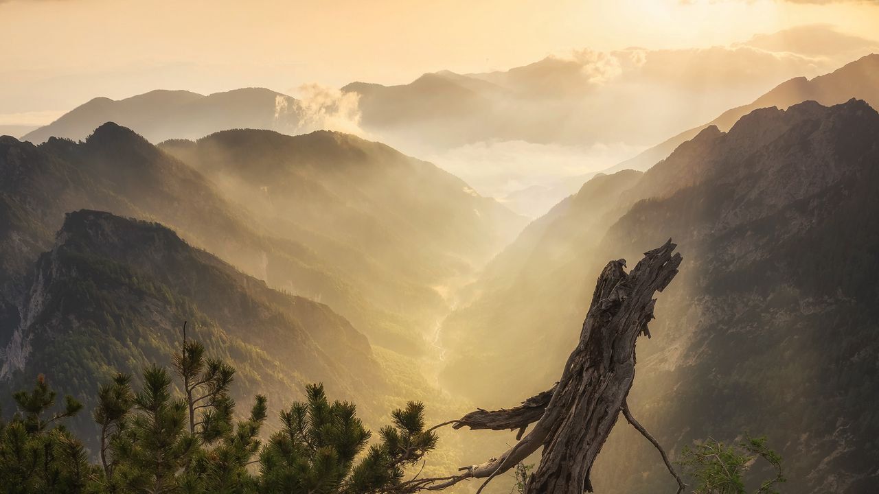 Wallpaper mountains, fog, clouds, tree, nature