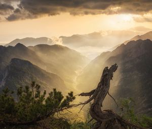Preview wallpaper mountains, fog, clouds, tree, nature