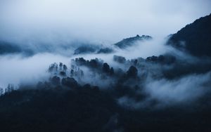 Preview wallpaper mountains, fog, clouds, trees, landscape