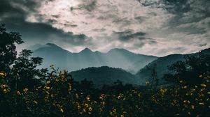 Preview wallpaper mountains, fog, flowers, clouds