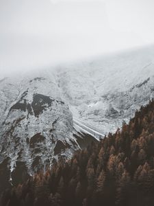 Preview wallpaper mountains, fog, forest, snow, snowy