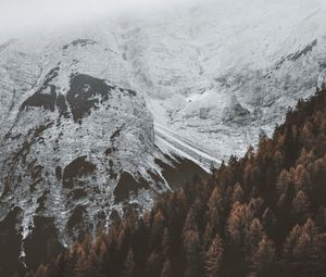Preview wallpaper mountains, fog, forest, snow, snowy
