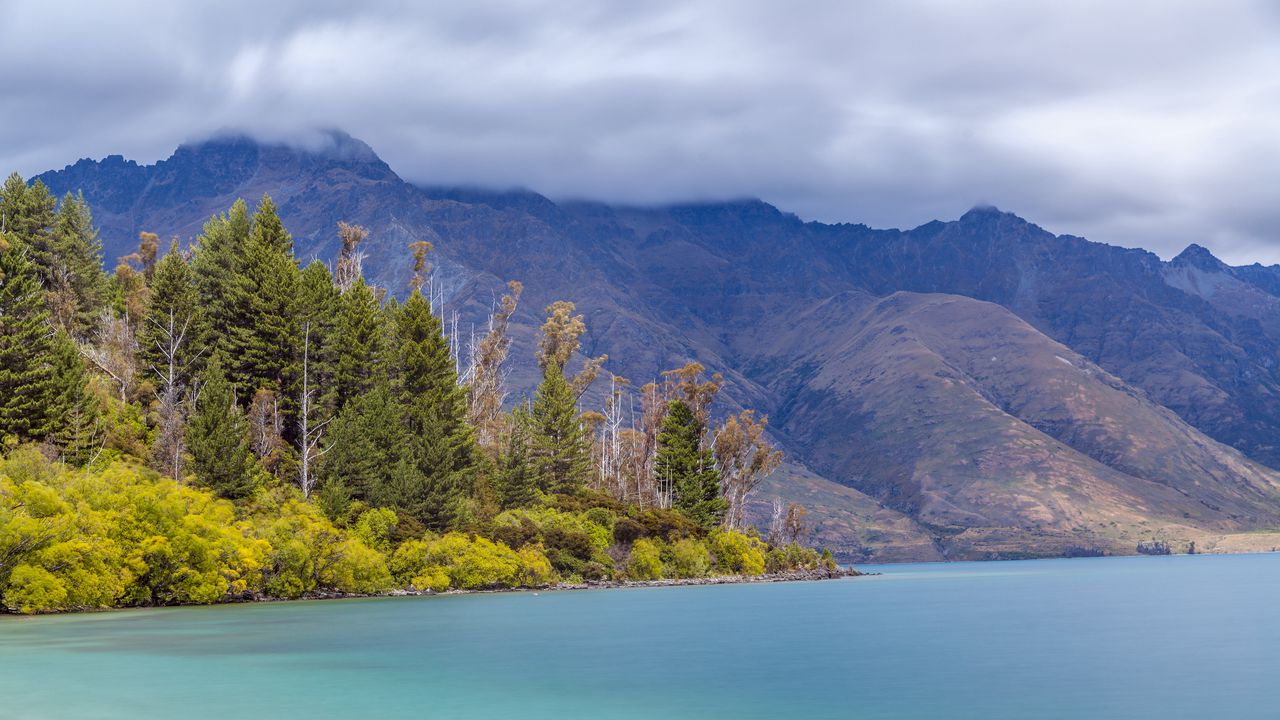 Wallpaper mountains, fog, forest, lake