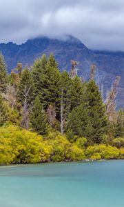 Preview wallpaper mountains, fog, forest, lake