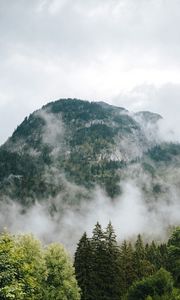 Preview wallpaper mountains, fog, forest, trees