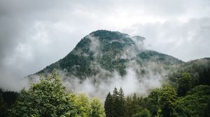 Preview wallpaper mountains, fog, forest, trees