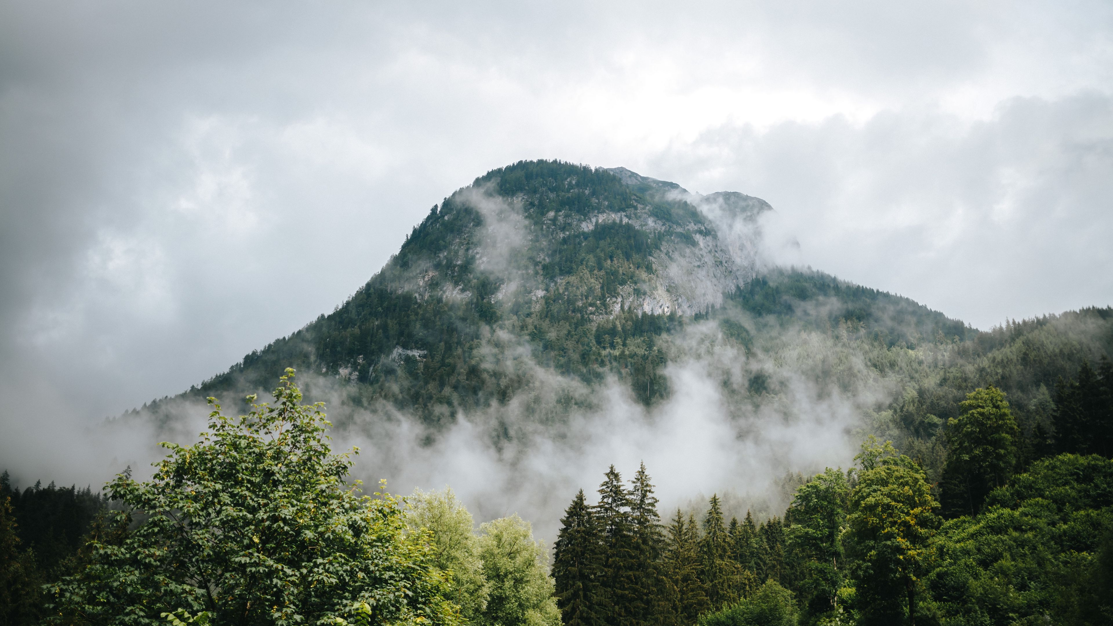 Download wallpaper 3840x2160 mountains, fog, forest, trees 4k uhd 16:9