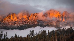 Preview wallpaper mountains, fog, forest, nature