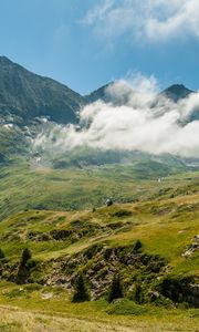 Preview wallpaper mountains, fog, grass