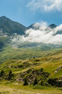 Preview wallpaper mountains, fog, grass