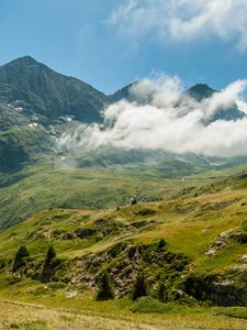 Preview wallpaper mountains, fog, grass