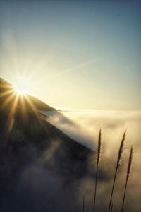 Preview wallpaper mountains, fog, grass, sun, nature
