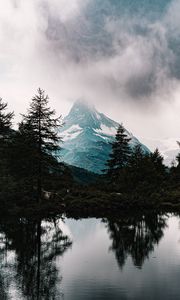 Preview wallpaper mountains, fog, lake, trees, spruce, snowy