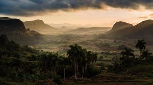 Preview wallpaper mountains, fog, palm trees, clouds