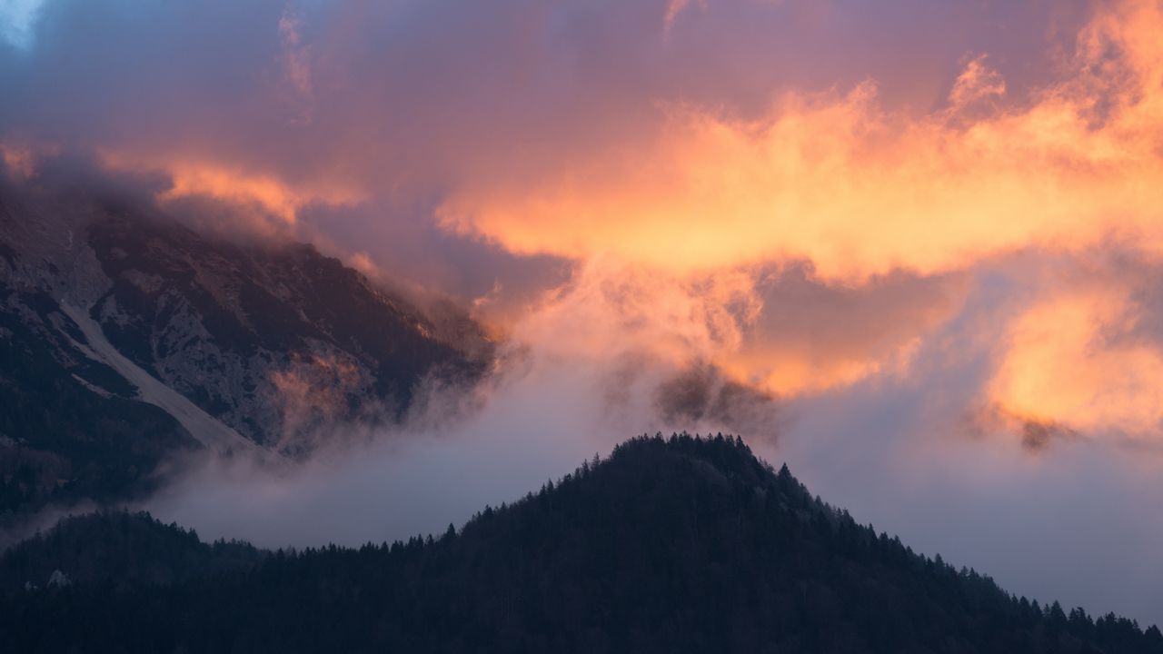 Wallpaper mountains, fog, sky, trees, sunset