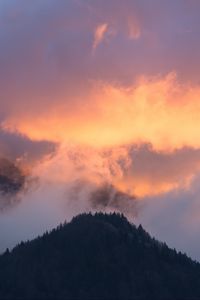 Preview wallpaper mountains, fog, sky, trees, sunset