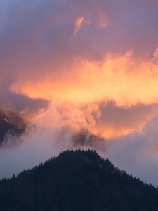 Preview wallpaper mountains, fog, sky, trees, sunset