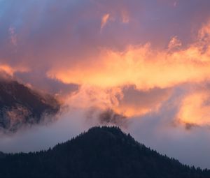 Preview wallpaper mountains, fog, sky, trees, sunset