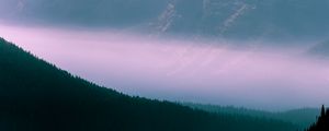 Preview wallpaper mountains, fog, sky, outlines, trees, forest