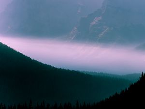 Preview wallpaper mountains, fog, sky, outlines, trees, forest