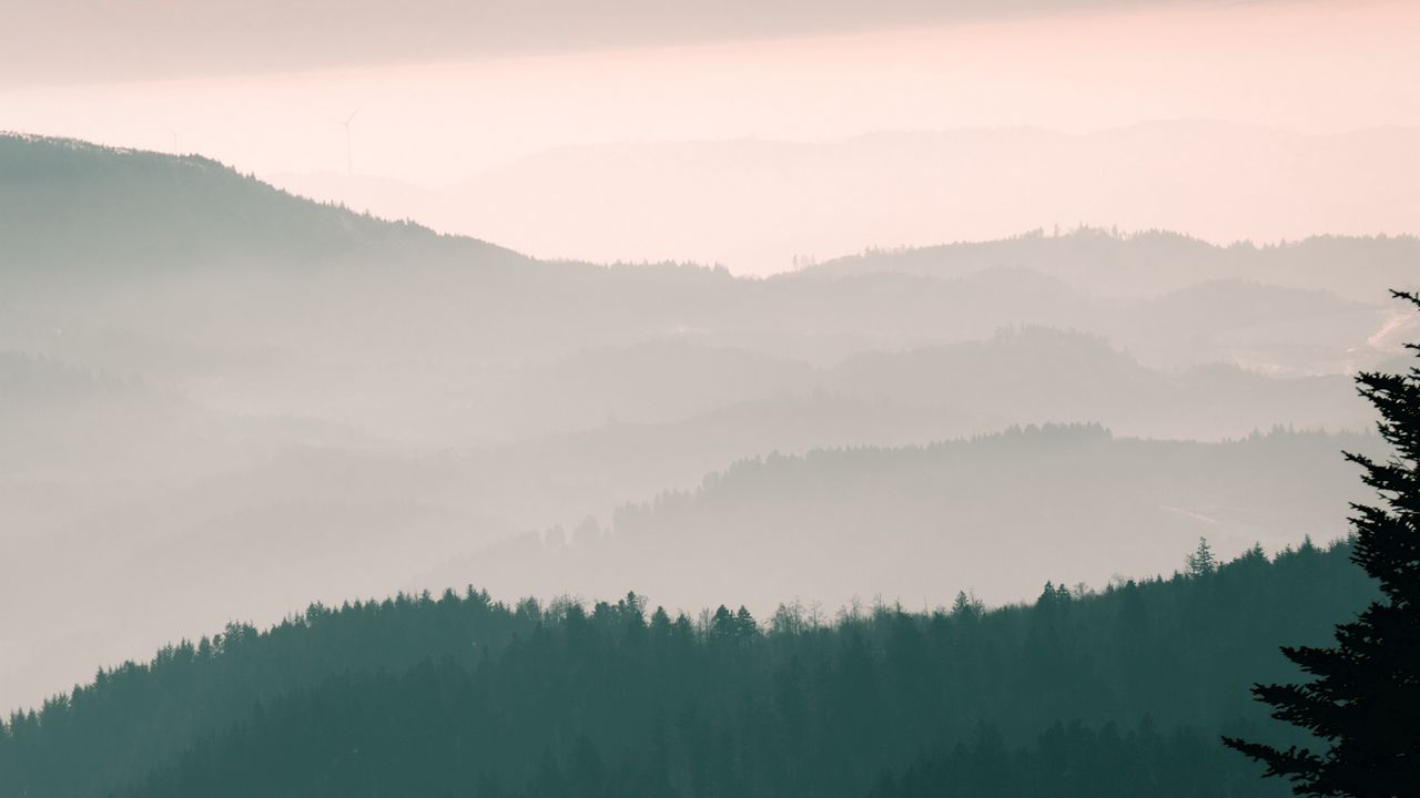Wallpaper mountains, fog, sky, trees, dawn