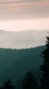Preview wallpaper mountains, fog, sky, trees, dawn