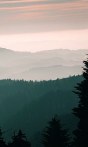 Preview wallpaper mountains, fog, sky, trees, dawn