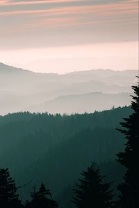 Preview wallpaper mountains, fog, sky, trees, dawn