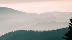Preview wallpaper mountains, fog, sky, trees, dawn