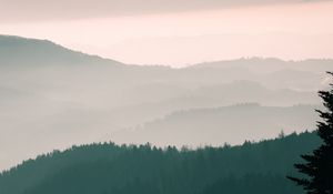 Preview wallpaper mountains, fog, sky, trees, dawn