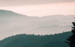 Preview wallpaper mountains, fog, sky, trees, dawn