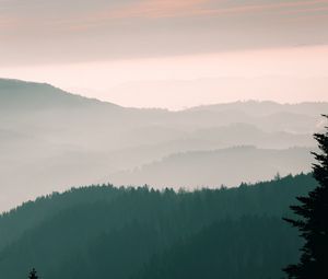 Preview wallpaper mountains, fog, sky, trees, dawn