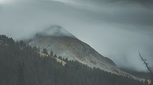 Preview wallpaper mountains, fog, slope, trees