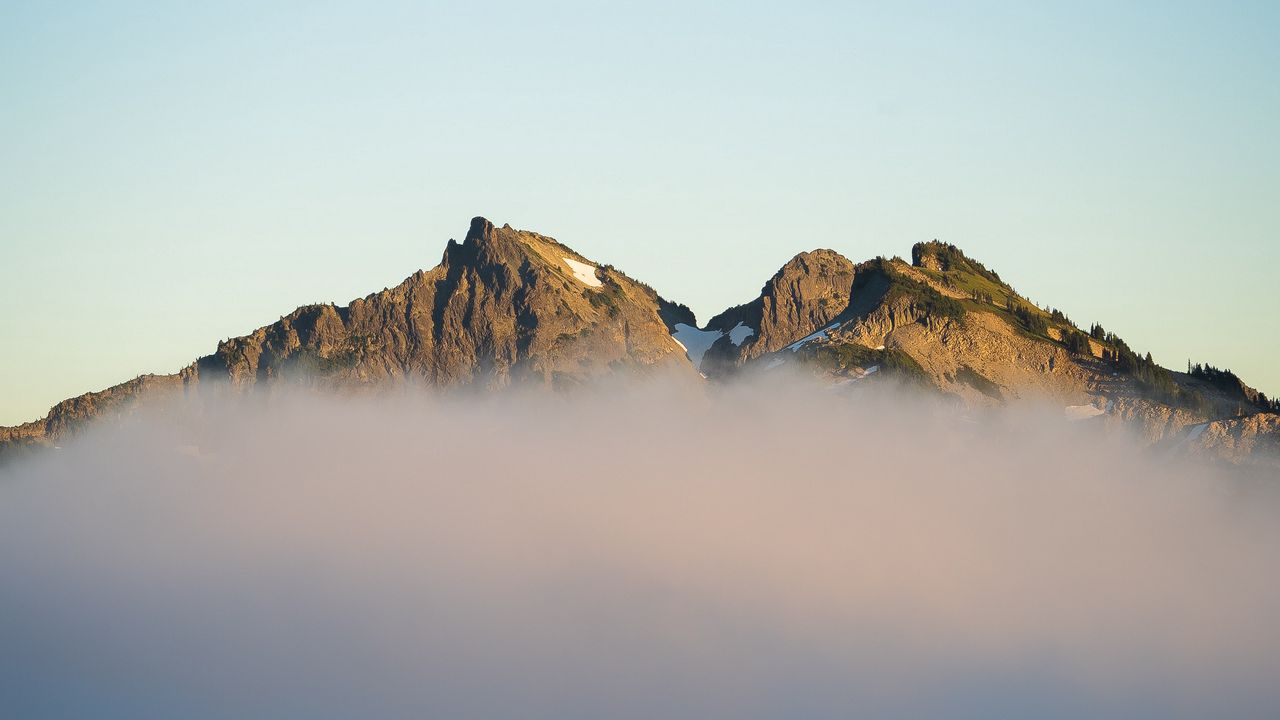 Wallpaper mountains, fog, spruce, sky