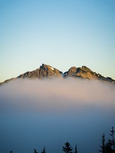 Preview wallpaper mountains, fog, spruce, sky