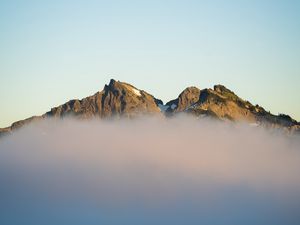 Preview wallpaper mountains, fog, spruce, sky