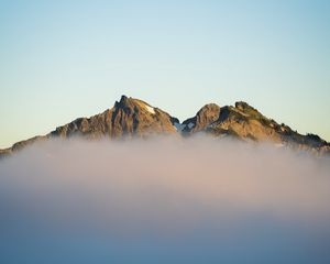 Preview wallpaper mountains, fog, spruce, sky